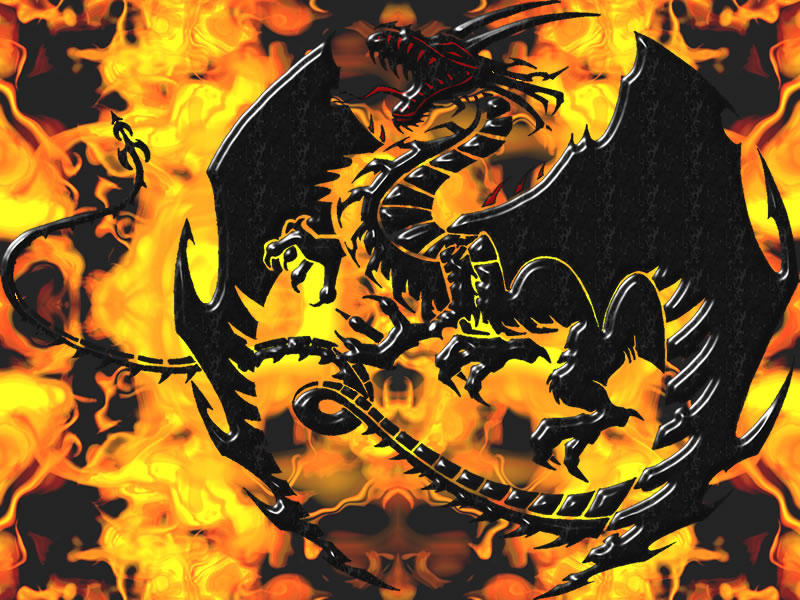 black dragon wallpaper. my favorite dragon pic